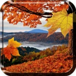 falling leaves live wallpaper android application logo